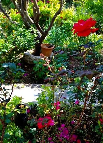 Dina's House 2 Casa vacanze