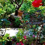 Dina's House 2 度假居